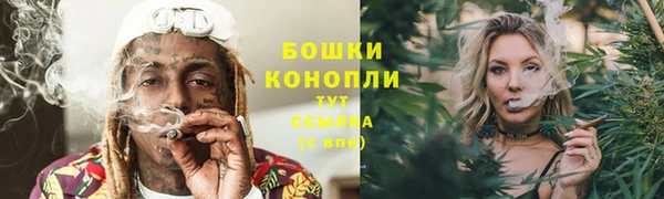 сатива Осинники