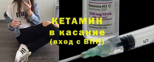 сатива Осинники