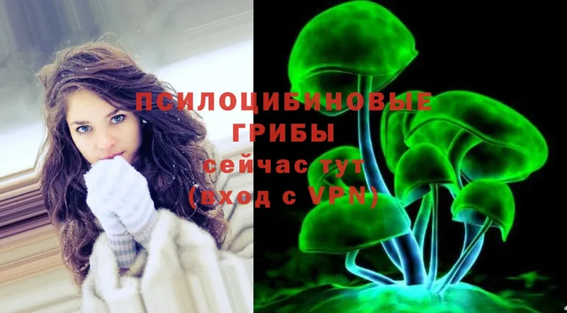 Галлюциногенные грибы Magic Shrooms  дарк нет какой сайт  Лебедянь 