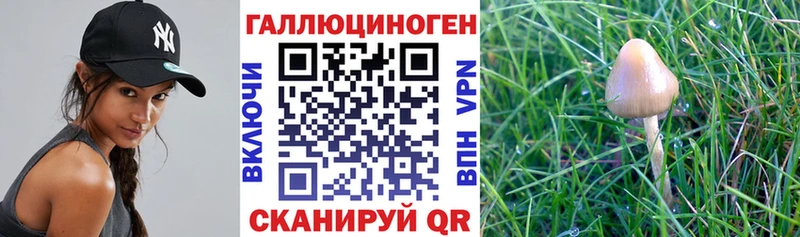 Галлюциногенные грибы MAGIC MUSHROOMS  купить наркоту  Лебедянь 